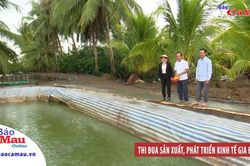 Thi đua sản xuất, phát triển kinh tế gia đình