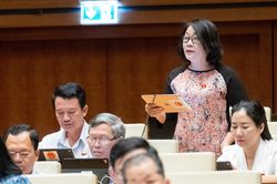 Đại biểu Quốc hội: Hà Nội vẫn chưa đủ trường công lập