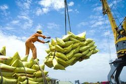 Liên bộ họp 'nóng' về xuất khẩu gạo, rau quả