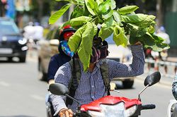 Đi xe máy từ Hà Nội về quê giữa trưa nắng, chàng trai ở Phú Thọ sốc nhiệt, đe dọa tử vong