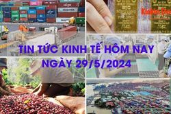 Tin tức kinh tế ngày 29/5/2024: Việt Nam nhập siêu 1 tỷ USD trong tháng 5/2024