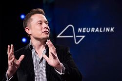 Neuralink của Elon Musk tìm chọn 3 bệnh nhân thử nghiệm cấy chip não