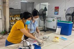 Nghệ An: Làm rõ nguyên nhân 72 công nhân ngộ độc thực phẩm tại Cụm công nghiệp Yên Thành