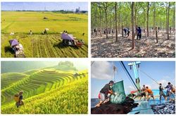 Nông nghiệp tháng 5/2024: Chăn nuôi và thủy sản được giá, trồng rừng tăng nhanh