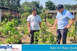 Thị xã Quảng Trị: Hỗ trợ kinh phí đối với thôn, khu dân cư và vườn hộ gia đình đạt chuẩn nông thôn mới kiểu mẫu
