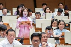 ĐBQH Nguyễn Việt Hà: Cần chú trọng tạo thị trường xuất khẩu đa dạng, bền vững cho doanh nghiệp