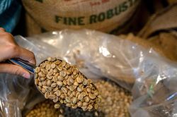 Giá cà phê hôm nay 29/5: Robusta thế giới cán mốc 4.000 USD/tấn, giá sẽ về đỉnh lịch sử cũ?