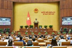 Cân nhắc trong việc cho phép xây dựng công trình tại bãi bồi, bãi nổi sông Hồng