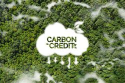 Lạng Sơn: Triển khai phát triển thị trường tín chỉ carbon