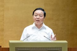 'Định giá đất là nguyên nhân của mọi nguyên nhân liên quan đến thất thoát, khó khăn, đùn đẩy'