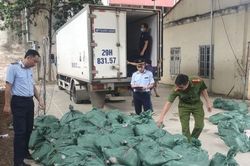 Kịp thời chặn giữ ô tô tải chở 7 tấn chân gà và móng giò bốc mùi hôi thôi