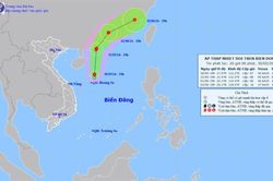 Xuất hiện áp thấp nhiệt đới trên Biển Đông