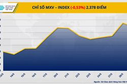 Chỉ số giá hàng hóa suy yếu từ mức đỉnh hơn một năm