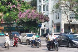 Dự báo thời tiết Hà Nội hôm nay 30/5/2024: Hà Nội tăng nhiệt, ngày nắng, chiều và đêm mưa dông rải rác