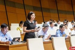 Đoàn đại biểu Quốc hội tỉnh Sơn La tham gia thảo luận tại hội trường về chương trình xây dựng luật, pháp lệnh