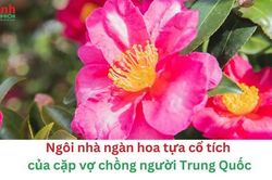 Ngôi nhà ngàn hoa tựa cổ tích của cặp vợ chồng người Trung Quốc