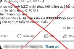 Công an Nghệ An bắt đối tượng lừa đảo cấp đổi giấy phép lái xe qua mạng