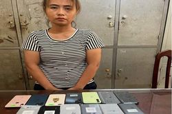 Bắt nữ quái đột nhập cửa hàng ở Nam Định trộm 13 điện thoại