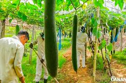 Thắp sáng niềm tin cho những người lầm lỗi