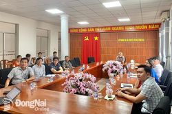 Tối ưu hóa tài nguyên số và quản lý dữ liệu