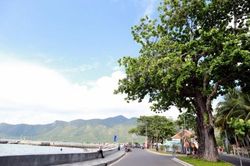 Vì một Côn Đảo xanh