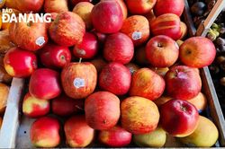 Mấy chuyện lý thú quanh chữ Việt gốc Pháp