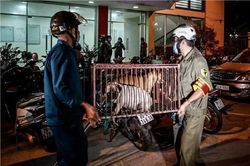 Kiểm soát bệnh lây truyền từ động vật sang người