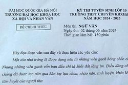 Đề thi vào lớp 10 chuyên Khoa học Xã hội và Nhân văn 2024