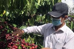 Xuất khẩu 5 tháng đầu năm: Điểm mặt những ngành hàng tăng trưởng ấn tượng