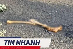 TIN NHANH: Công bố nhận dạng tử thi có chân bị tách rời ở Đà Lạt; Mua vàng bình ổn giá cần chuẩn bị gì?