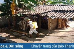 Thường Xuân chủ động phòng, chống dịch bệnh mùa hè