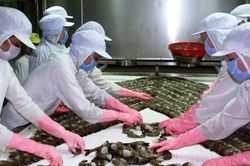 Xuất khẩu tôm, cá tra biến động trái chiều trong tháng 5