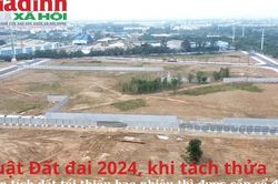 Luật Đất đai 2024, khi tách thửa, diện tích đất tối thiểu bao nhiêu thì được cấp sổ đỏ?