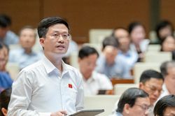 Đại biểu Quốc hội: livestream bán hàng trên mạng doanh thu 'khủng'