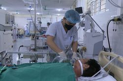 Người đàn ông nguy kịch vì ăn thịt lợn chết ốm