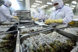 Xuất khẩu nông sản thêm áp lực