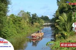 Nỗ lực giảm nghèo