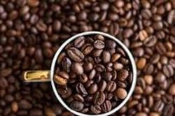 Giá cà phê tăng mạnh