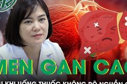 Uống thuốc không rõ nguồn gốc người phụ nữ đau bụng, men gan tăng gấp 10 lần