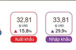 Nhập siêu bất ngờ quay lại mức 1 tỷ USD