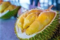 Sầu riêng Việt Nam đang thắng thế Thái Lan tại Trung Quốc