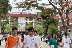 Đề Văn, Ngoại ngữ không làm 'khó' thí sinh