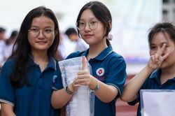 Đề thi lớp 10 môn Ngữ văn tại TPHCM năm 2024