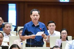 Đại biểu đoàn Nghệ An chất vấn Phó Thủ tướng Chính phủ về giải pháp đảm bảo cung ứng điện phục vụ sản xuất