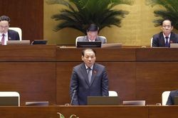 Tư lệnh ngành nói về giá vé máy bay 'hạ nhiệt': 'Lợi ích hài hòa-rủi ro chia sẻ'