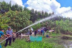 Cà Mau: Rừng ở U Minh Hạ đã thoát hiểm, nguy cơ xảy ra cháy còn rất thấp