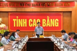 Họp Ban Chỉ đạo cấp tỉnh Kỳ thi tốt nghiệp THPT năm 2024