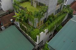 Chiêm ngưỡng nhà 4 tầng được bao bọc bởi rừng cây giữa Hà Nội