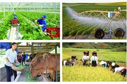 Sẽ tổng điều tra nông thôn, nông nghiệp năm 2025 trên phạm vi cả nước trong 30 ngày