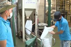 Doanh nghiệp Việt nghi bị 'rút ruột' container hồ tiêu xuất khẩu